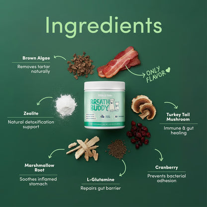 Daily Dental Powder for Fresh Breath & Clean Teeth